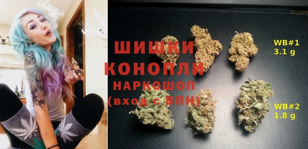 apvp Алексин