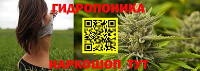 прущие грибы Славянск-на-Кубани