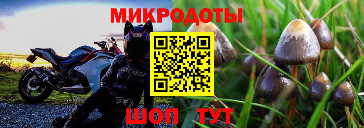 Тейково  Псилоцибиновые грибы GOLDEN TEACHER  Вход с VPN 